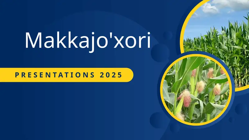 Makkajo'xori