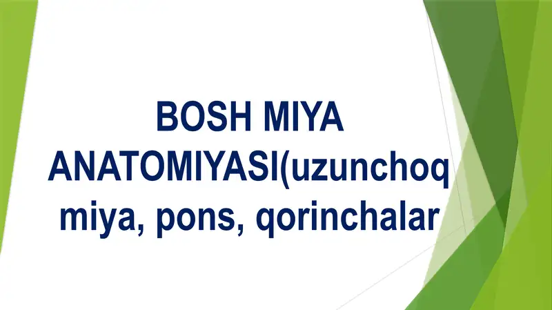 BOSH MIYA ANATOMIYASI (uzunchoq miya, pons, qorinchalar) Бош мия аратомияси узунчок мия понс коринчалар