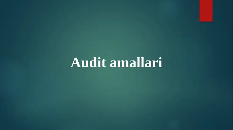 Audit amallari
