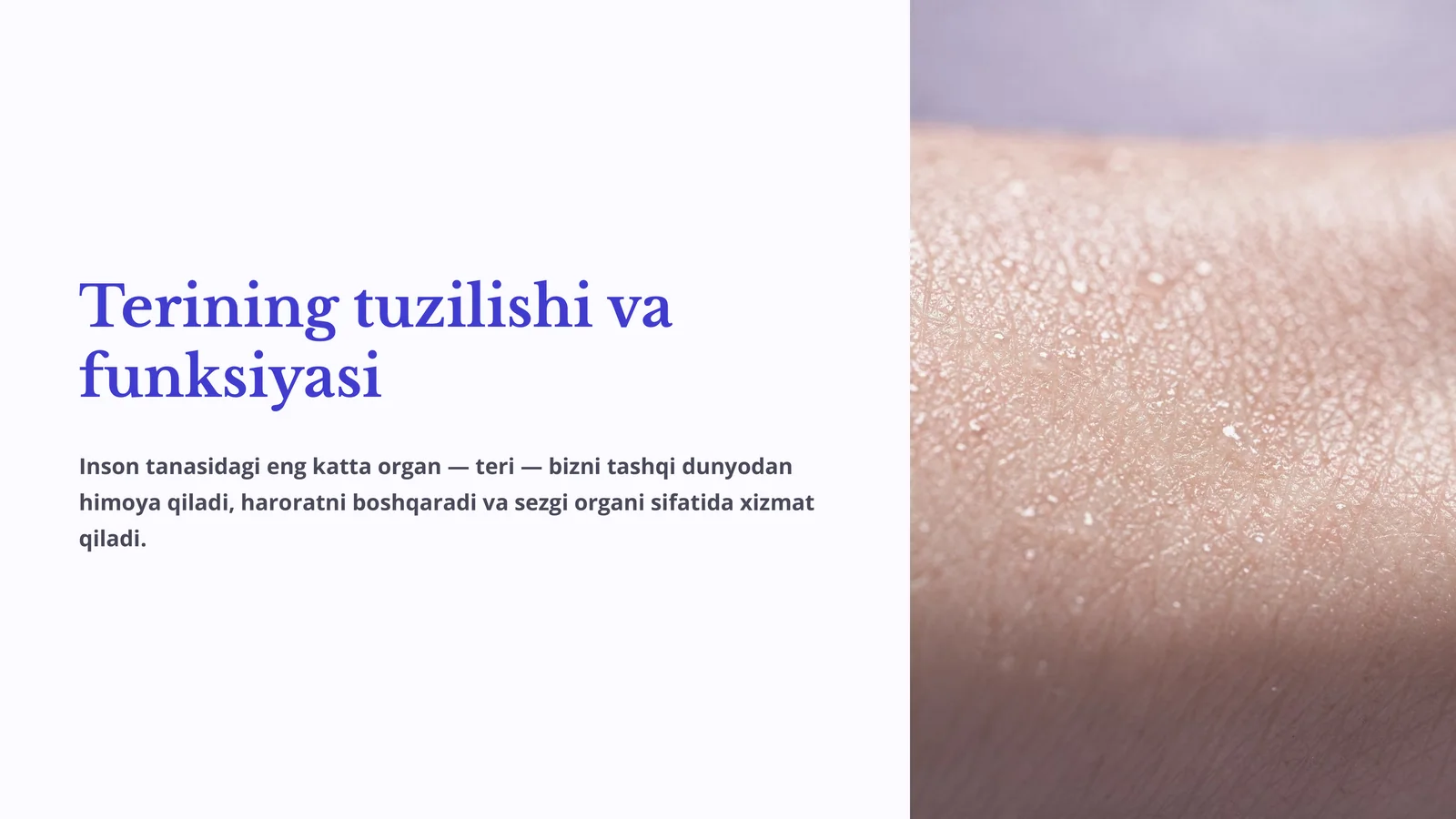 Terining tuzilishi va funksiyasi