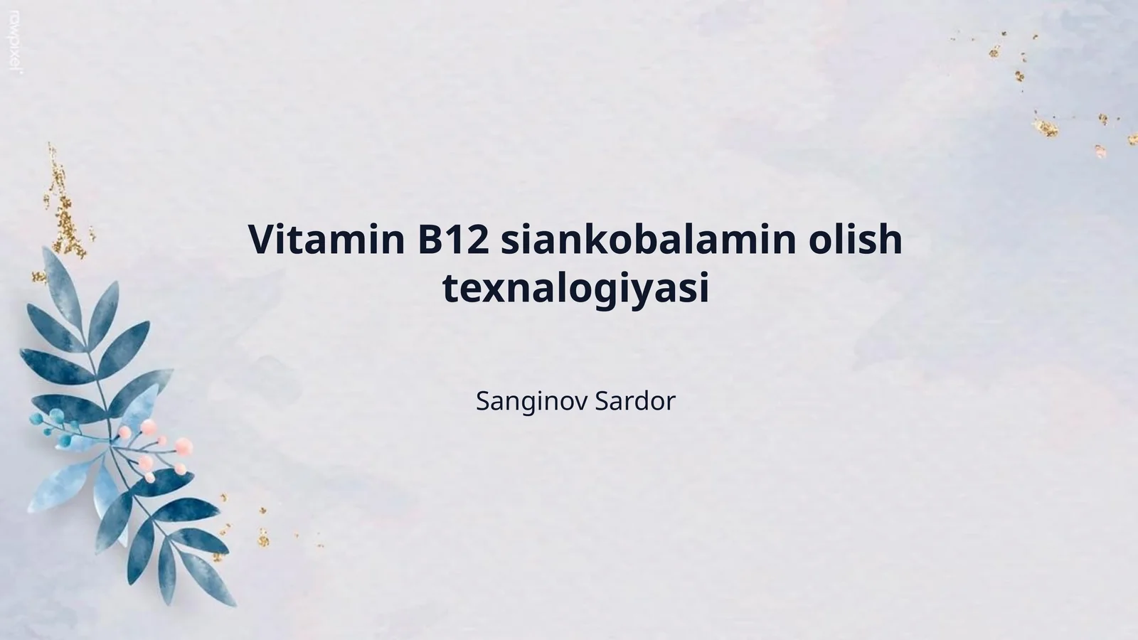Vitamin B12 siankobalamin olish texnalogiyasi