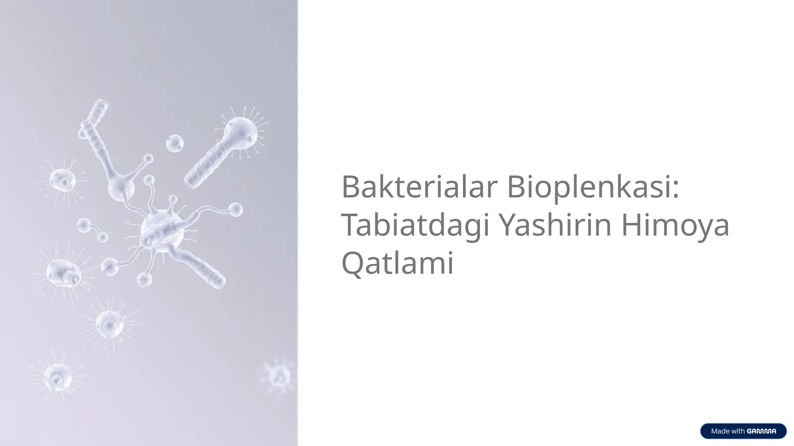 Bakterialar Bioplenkasi: Tabiatdagi Yashirin Himoya Qatlami