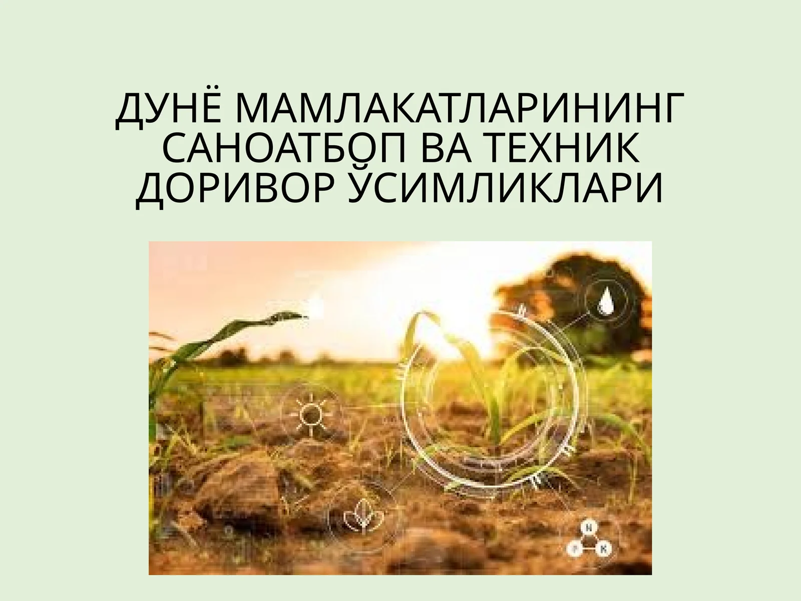 ДУНЁ МАМЛАКАТЛАРИНИНГ САНОАТБОП ВА ТЕХНИК ДОРИВОР ЎСИМЛИКЛАРИ