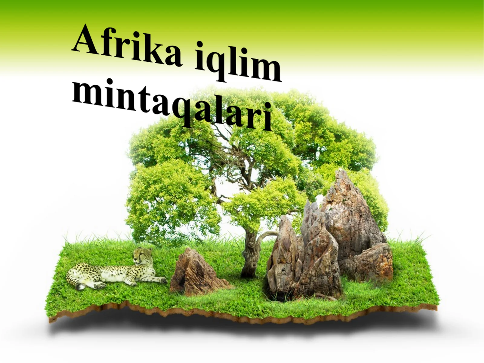 Afrika iqlim mintaqalari