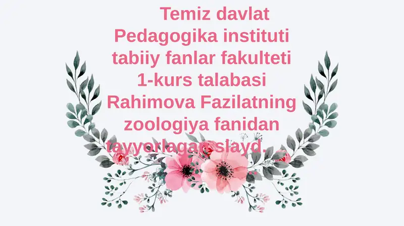 Halqali chuvalchanglar