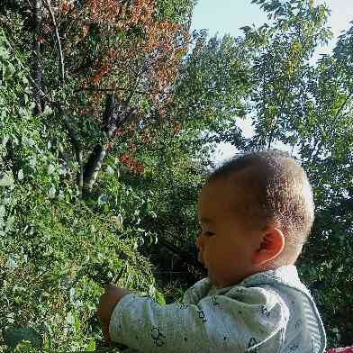 Nurmuhammad Ismoiljonov